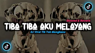 Download DJ Tiba Tiba Aku Melayang - ( Slowed \u0026 Reverb ) 🎶 MP3