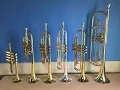 The Trumpet Family