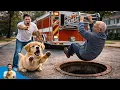 Lagu Misunderstood Puppy Did the Impossible to Save a Man and Received a Toy Fire Truck #puppyrescue
