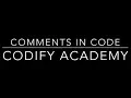 How to comment your code