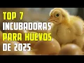 7 MEJORES Incubadoras BARATAS de Amazon 2025 Incubadoras de Pollos y Huevos
