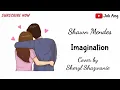 Download Lagu Imagination - Shawn Mendes Cover by Sheryl Shazwanie