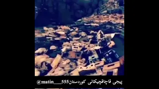 اسماعل سردشتی 