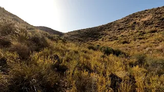 Slow TV - A Hot Afternoon Walk in the Spanish Campo