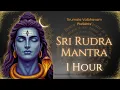 Lagu Powerful 1-Hour Rudra Mantra Chanting | Lord Shiva's Divine Blessings | Spiritual Awakening