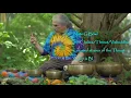 Quick 11 min Chakra Tune Up by the Redwood Tree Bowls