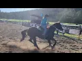 PeeWee Palmer Gulch Rodeo Win