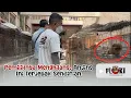 Download Lagu WE FOUND 7 DOGS LIVING AMID THE STINK OF CORPSES \u0026 A VERY DIRTY HOUSE