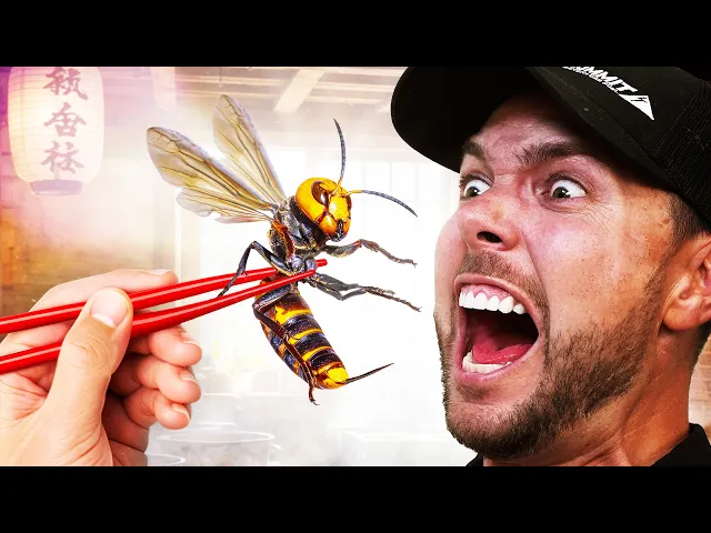 Eating Murder Hornets! Most Painful Bug Rituals