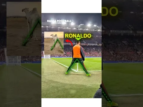 Hewan Ini Tahu Siapa GOAT Sebenarnya🐐🤫