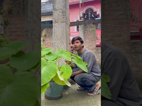 Nakal utarta hai 😂🔥 #shorts #relatable #comedy #funny #funnyanimals #entertainment