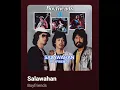 SALAWAHAN - BOYFRIENDS