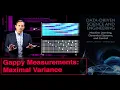 Gappy Measurements Maximal Variance