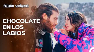 La Historia Del Albatros #21- Pájaro Soñador