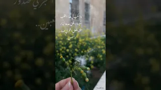 ورده زهره زهره الثالوث Tiktok ريلز Trend اكسبلور تريند نغمه اقتباسات ابيض اصفر Reels  ورده زهره زهره الثالوث Tiktok ريلز Trend اكسبلور تريند نغمه اقتباسات ابيض اصفر Reels