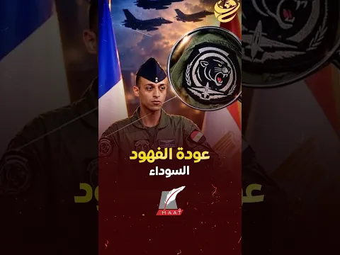 الفهود السوداء تعود للسماء المصرية.. ما سر السرب 84 وظهور شاراته مع مقاتلات الرافال؟