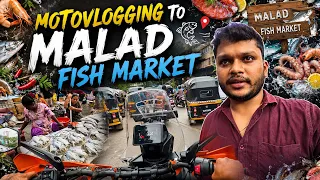 Malad Fish Market during Monsoon Mumbai s Biggest Busiest Fish Market