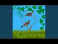Download Lagu Suara Burung Ciblek Kristal