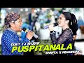 Download Lagu DUET PUSPITANALA - DEK SINTA ft. NDANDUNG || TJ MUSIK ASIK POLLL