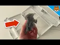 Dryer smells Bad Almost EVERYONE makes this MISTAKE