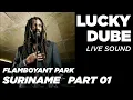 Download Lagu Lucky Dube Live in Suriname 2002 @ Flamboyant Park Deel 01