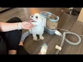 Full grooming session trying out iPettie Max15 Pet Grooming Vacuum