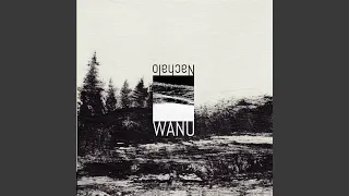 A Home Under Every Tree 