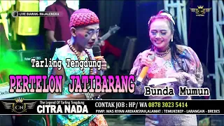 Download PERTELON JATIBARANG || CITRA NADA LIVE DS.BIAWAK (BLOK SAGARA) - JATITUJUH - MAJALENGKA MP3