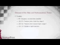 ICD-10-CM BootCamp Diseases of the Skin and Subcutaneous Tissue