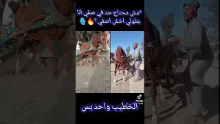 الفرسه واخوها 