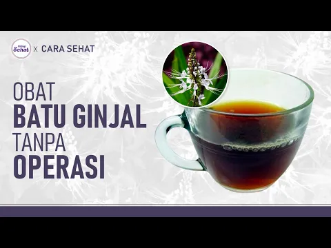 Resep Minuman Alami Menghancurkan Batu Ginjal