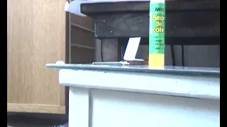 stuart little 2 celine dion i m alive hold on to the good things