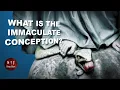 What is the Immaculate Conception