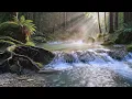 Peaceful Riverbank with Light Birdsong | Real Nature Background Audio for Sleeping and Calm Rest