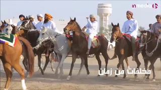 صهوة الخيل   همبل الخيل   محورب الخيل لكل محبين الفروسية ولاية الكامل والوافي   الوافي   دندنها