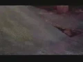 Video di Galline In Fuga trailer Ita