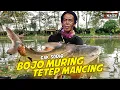 Download Lagu Cak Sodiq \u0026 New Monata - Bojo Muring Tetep Mancing (Official GK Musik Performance Video)