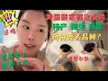 Download Lagu 美国居家孵小鸡🐣居然孵化出造型奇特神秘物种🤯？超疗愈过程全记录💗 小时候的愿望终于实现啦！喜得贵子 母慈子孝 快乐加倍🎉