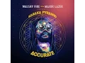 Download Lagu Kabaka Pyramid - ACCURATE (Full Mixtape) | WalshyFire Presents