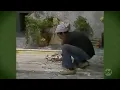 Download Lagu Chaves - Episódio As Paredes De Gesso ( 1978 ) SBT HD Parte 1