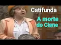 Download Lagu Escolinha do prof. Raimundo - Catifunda