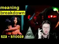 Snooze HIDDEN MEANING SZA Breakdown Meaning Explained