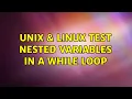 Unix Linux Test nested variables in a while loop 2 Solutions