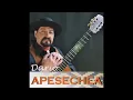 Zamba Para Mis Amigos