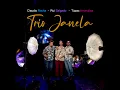 Download Lagu TRIO JANELA  Album link  Spotify : Rui Salgado: Mandolin; Claudio Rocha: Sax; Túpac Amarulloa: Flute
