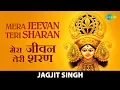 Mera Jeevan Teri Sharan | मेरा जीवन तेरी शरण | Jagjit Singh bhajan | Superhit Mata Bhajan