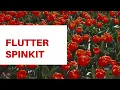 How to use flutter spinkit a loading indicators package for flutter application