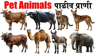 🐶 Top 25 Pet Animals for Kids: English & Marathi Guide 🐱