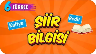 6 s n f t rk e iir bilgisi 2022