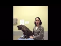 Veterinary on the dangers of xylitol on dogs